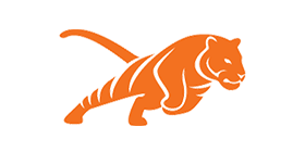 Tiger Group